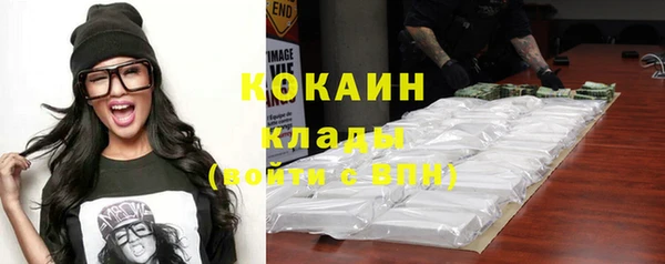 spice Ельня