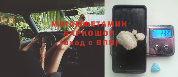 сатива Дмитриев