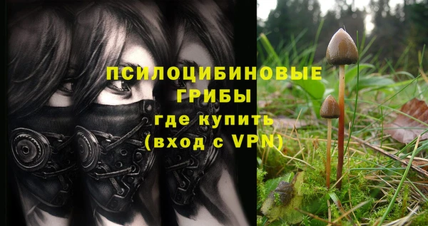 сатива Дмитриев