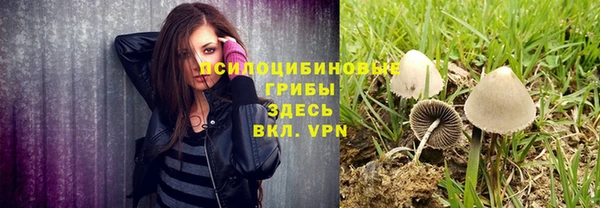 ПСИЛОЦИБИНОВЫЕ ГРИБЫ Дмитровск