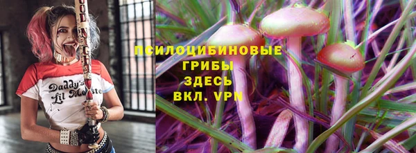 сатива Дмитриев