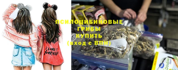 ПСИЛОЦИБИНОВЫЕ ГРИБЫ Дмитровск
