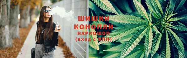 spice Ельня