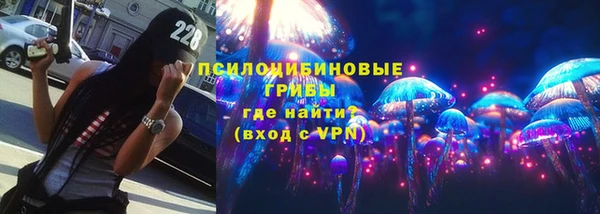 ПСИЛОЦИБИНОВЫЕ ГРИБЫ Дмитровск