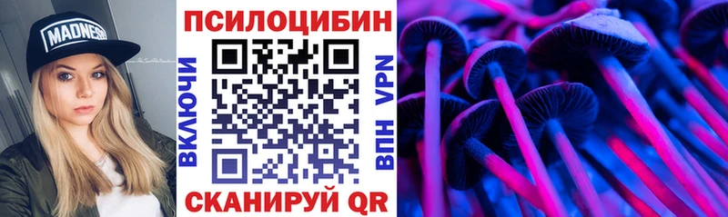 Галлюциногенные грибы Cubensis  купить наркотик  Новодвинск 